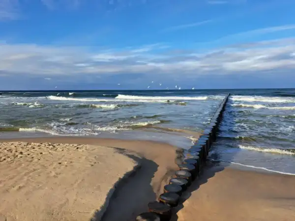 Plaża z falochronem i mewami. Z Poznania pociągiem dojedziesz do wielu miast nad morzem, np. do Trójmiasta czy Kołobrzegu.